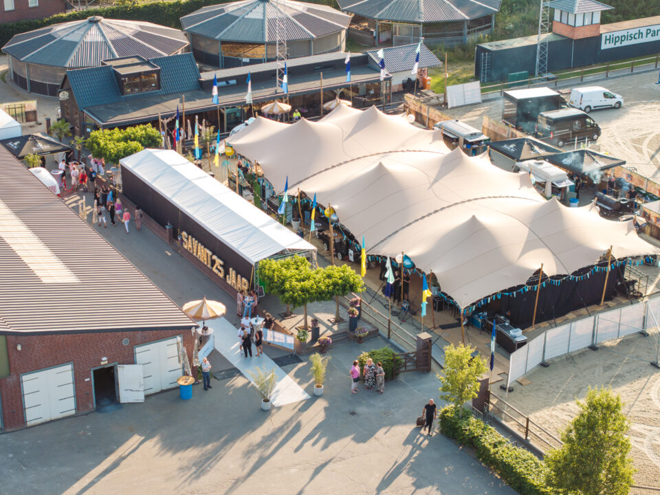 Savant Silver Festival